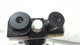 Nikon S Binocular Microscope with Two Objectives
