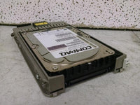Compaq BD0366459B 36.4GB 3.5" 10K RPM SCSI Hard Drive w/ Caddy PN 233806-003