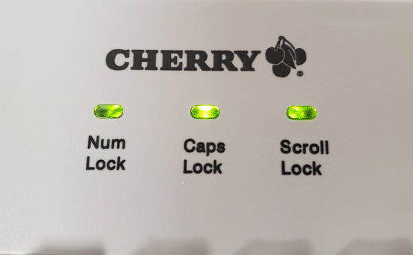 Vintage Cherry RS 6000 USB Mechanical Computer Keyboard Beige ...