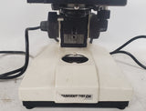 Sargent-Welch 48149-74 Compound Binocular Microscope 4 Objectives