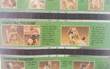 Vintage Kenner Spiked Tail Predator Throws Destruction Disks! Action Figure 1996