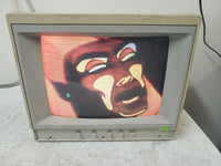Vintage Apple A2M6021 AppleColor Composite 13" CRT IIe Computer Monitor 1987