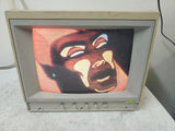 Vintage Apple A2M6021 AppleColor Composite 13" CRT IIe Computer Monitor 1987