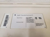 Vintage Apple M3501 Mechanical Computer Extended Keyboard II 1990