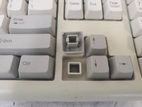 Vintage Wyse KB-3923 901861-26 Computer Keyboard