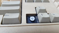 Vintage Original Dell LOGO Enhanced Keyboard Clicky Key Tronic CIG8AVE03417