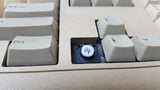 Vintage Original Dell LOGO Enhanced Keyboard Clicky Key Tronic CIG8AVE03417