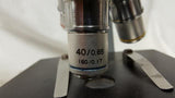 American Optical Company Sixty Monocular Microscope 3 Objectives