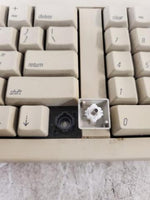Vintage Apple M0487 Computer Mechanical Keyboard II
