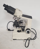 Sargent-Welch 48149-74 Compound Binocular Microscope 4 Objectives