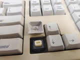 Vintage Apple M3501 Extended Mechanical Computer Keyboard II 1990