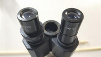 Sargent-Welch 48149-74 Compound Binocular Microscope 4 Objectives
