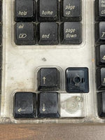 Apple M7803 Clear & Black Keys Computer Pro Keyboard