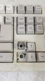 Vintage Chicony Electronics KB-5911 Mechanical Computer Keyboard