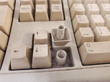Vintage KeyTronic E03601QUS201-C PS/2 Computer Keyboard