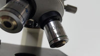 Bausch & Lomb 31-74-29 Microscope with 2 Objectives