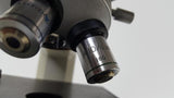 Bausch & Lomb 31-74-29 Microscope with 2 Objectives