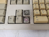 Vintage BTC BTC-5369 PS/2 Mechanical Computer Keyboard