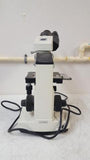 Sargent-Welch 48149-74 Compound Binocular Microscope 4 Objectives