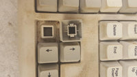 Vintage IBM KB-8923 07H0666 Computer Keyboard
