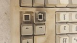 Vintage IBM KB-8923 07H0666 Computer Keyboard