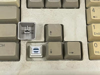 Dell Lot of Two SK-8000 QuietKey Wired Keyboard