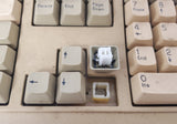 Vintage Key Tronic EP3435XTAT Mechanical AT Computer Keyboard HACF Prop