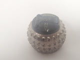 Vintage IBM Prestige Elite 96 Typewriter Font Ball 12