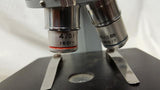 American Optical Company Sixty Monocular Microscope 3 Objectives