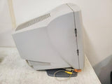 Vintage Gaming HP Pavilion M50 D5258A VGA CRT Computer Monitor 2000