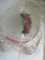 NEW Baseball Fotoball Corpus Christi Hooks / Round Rock Express Baseball