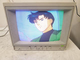 Vintage Apple A2M6021 AppleColor 13" CRT Composite IIe Computer Monitor 1988