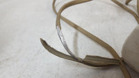 Vintage IBM by Lexmark 71G4644 Clicky Keyboard with Cord Damage