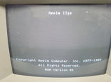 Vintage Apple IIGS ROM 1 A2S6000 Computer E8160LH Case Issue