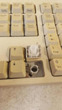 Vintage Sun Microsystems Type 7 Clicky USB Keyboard